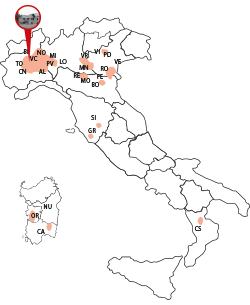 L'importanza del riso in Italia